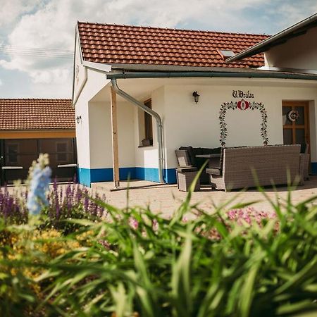 Apartman U Draba: Ubytovani Na Slovacku V Miloticich U Kyjova Milotice Luaran gambar