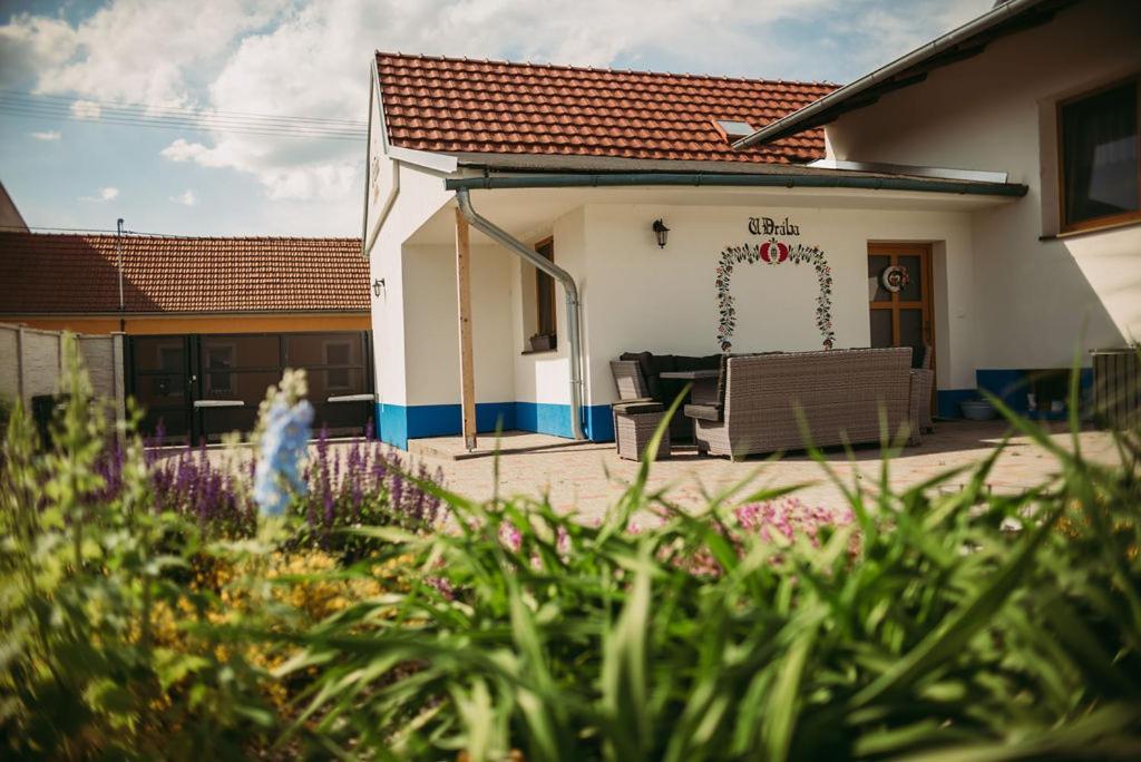 Apartman U Draba: Ubytovani Na Slovacku V Miloticich U Kyjova Milotice Luaran gambar