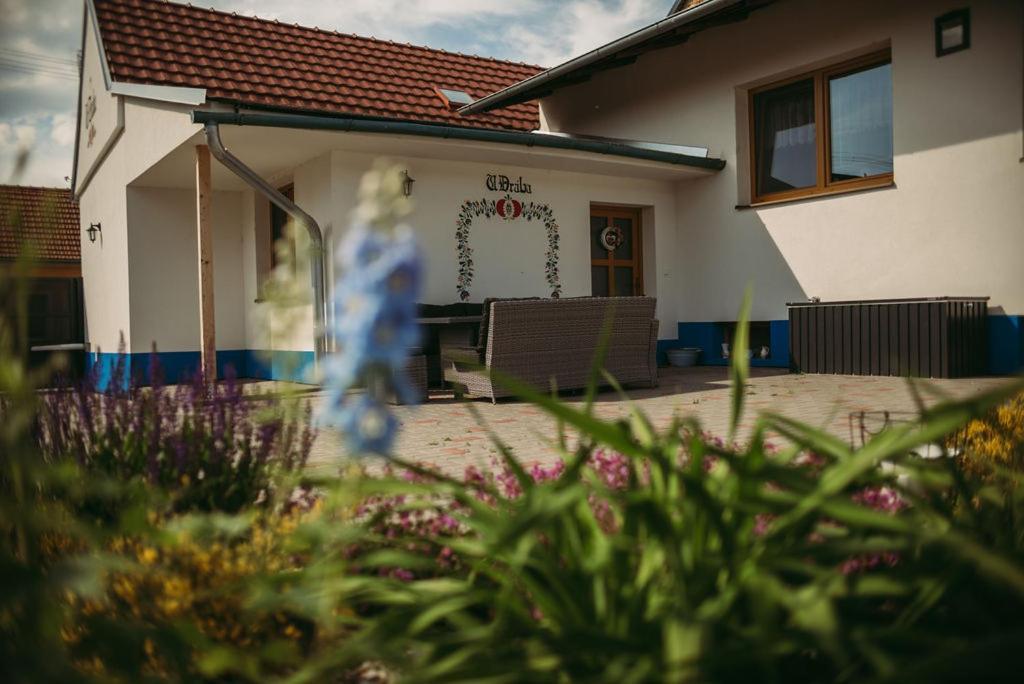Apartman U Draba: Ubytovani Na Slovacku V Miloticich U Kyjova Milotice Luaran gambar