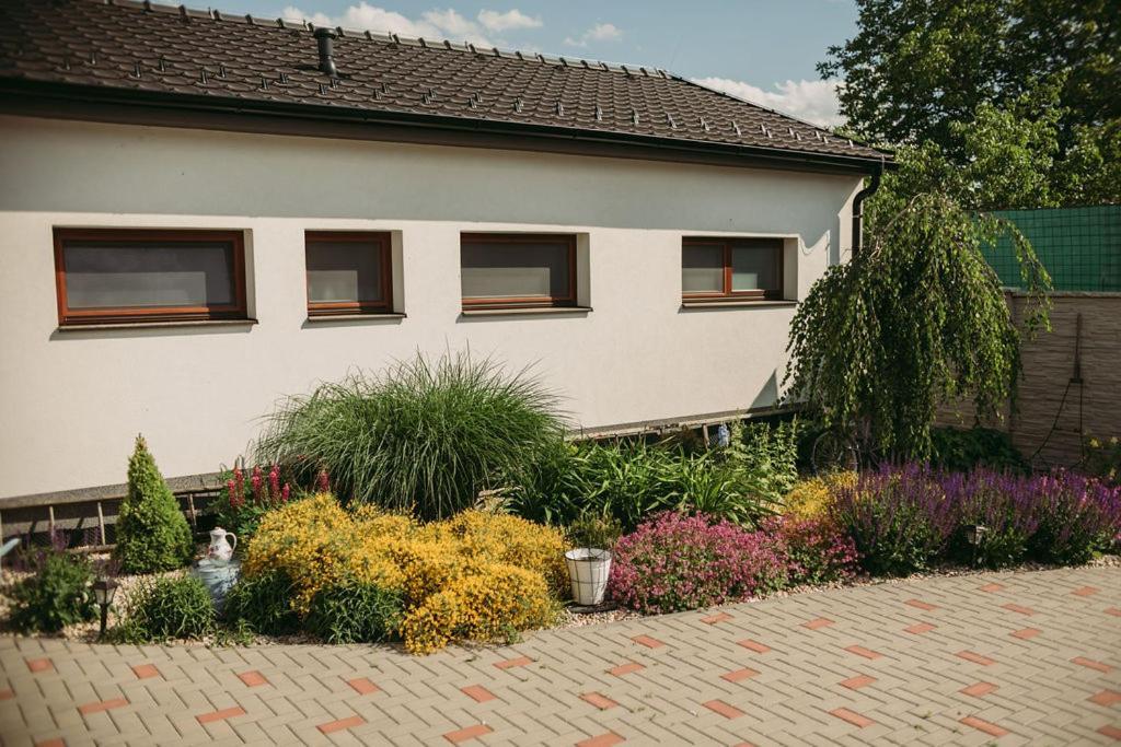 Apartman U Draba: Ubytovani Na Slovacku V Miloticich U Kyjova Milotice Luaran gambar